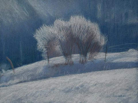 Arbre givré